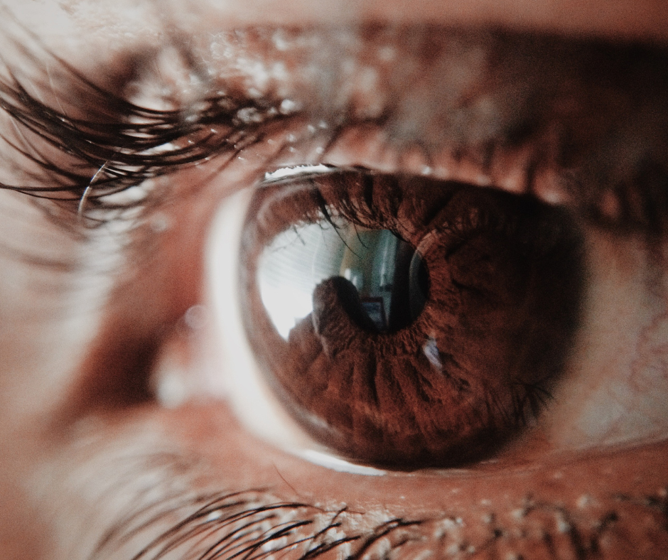 close up of a brown eye